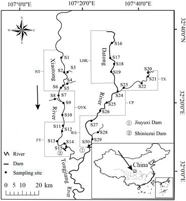 Spatio-temporal dynamics of fish assemblage in the Datong and Xiaotong rivers, karst tributaries in the upper Yangtze River drainage: Implications for ecological adaptation and conservation of fish in rivers